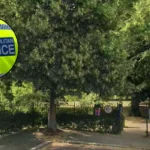 Man Charged in Acton Park Axe Stabbing 2026