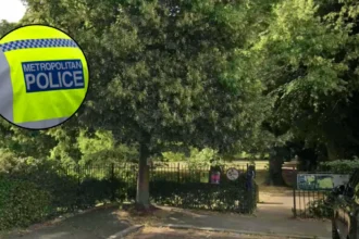 Man Charged in Acton Park Axe Stabbing 2026