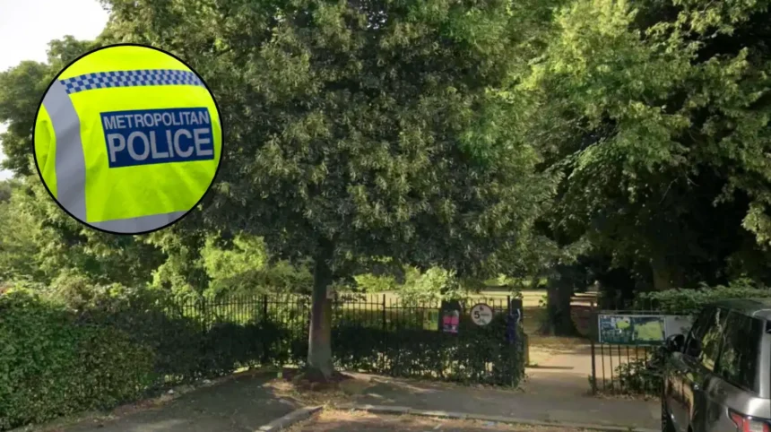 Man Charged in Acton Park Axe Stabbing 2026