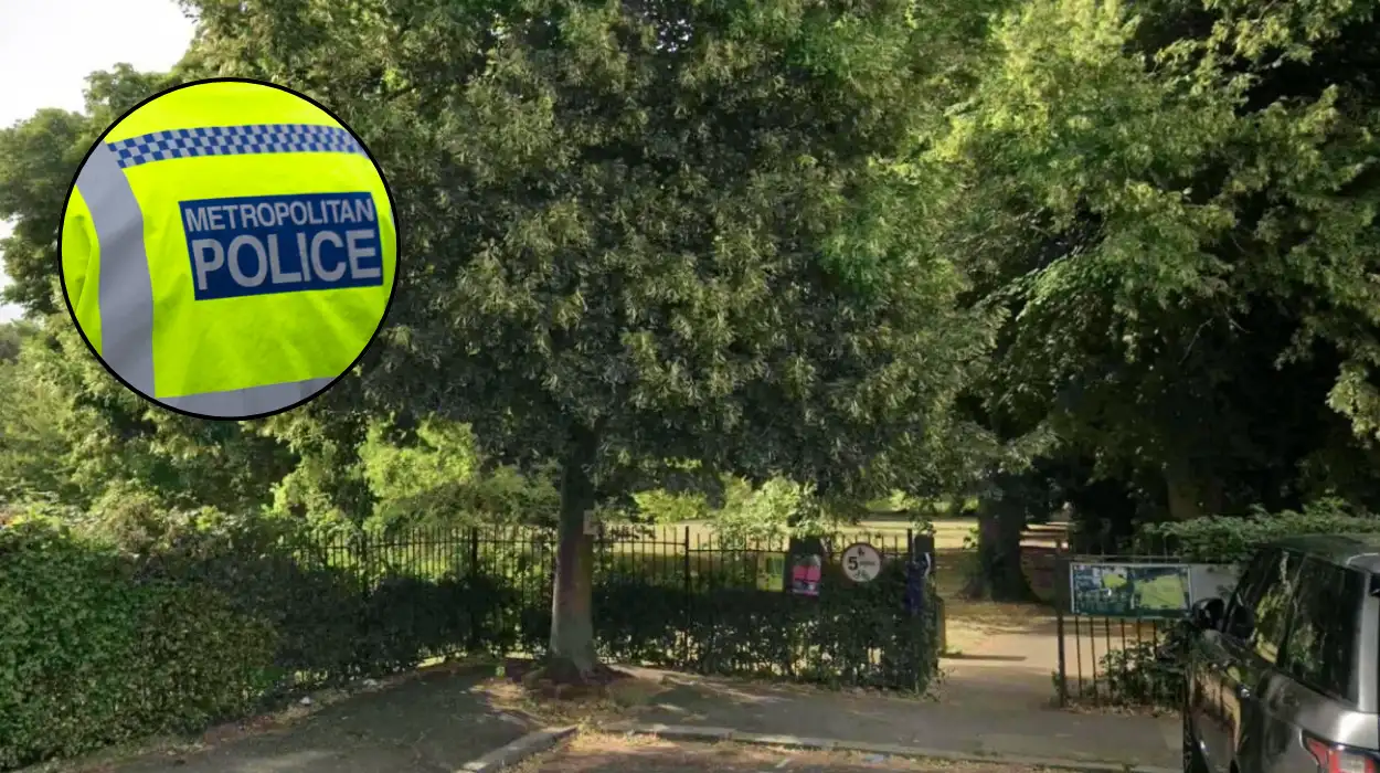 Man Charged in Acton Park Axe Stabbing 2026