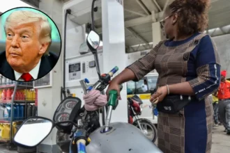 Oil Hits 2022 Peak on Trump Iran Plans 2026