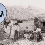 UK Stole 25M Years Slavery Barbados: $2tn Damages 2026