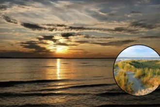 West Wittering Beach Coach Ban May to August 2026