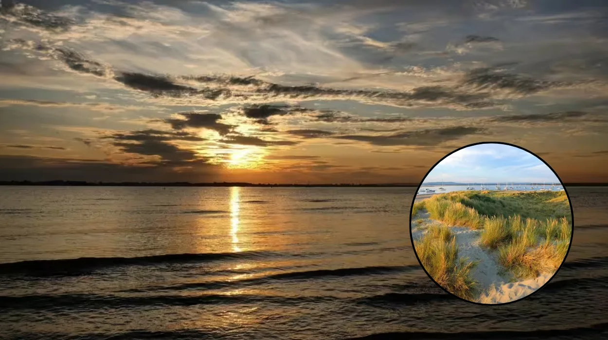 West Wittering Beach Coach Ban May to August 2026