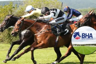 BHA Warns Trainers Amid Equine Flu Surge 2026