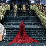 Bella Hadid Joins Met Gala Backlash 2026