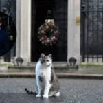Channel 4 Reveals First Look at Number 10 2026