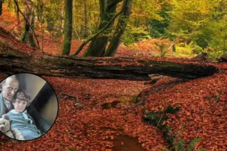 Private Winnie-the-Pooh Gardens Open in Sussex 2026