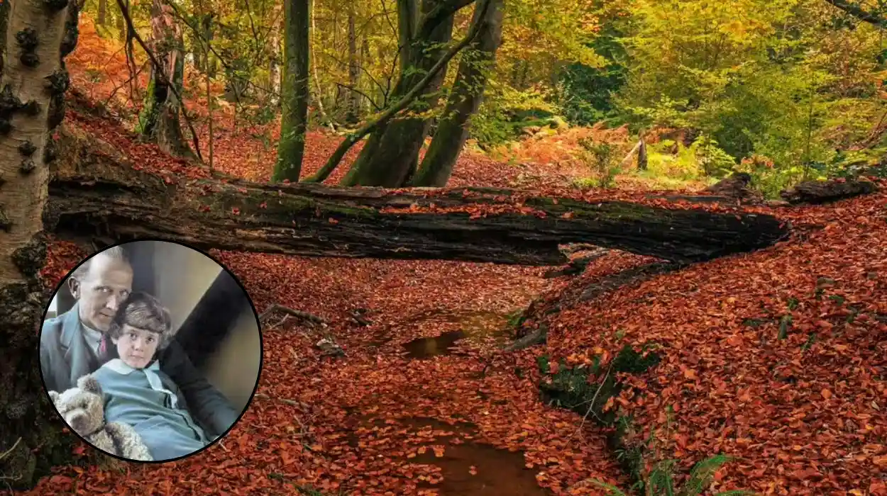 Private Winnie-the-Pooh Gardens Open in Sussex 2026