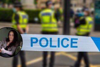 State Negligence Target of Exploitation Criminal Probe 2026