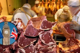 UK Pitched Goods Market Reset with EU 2026