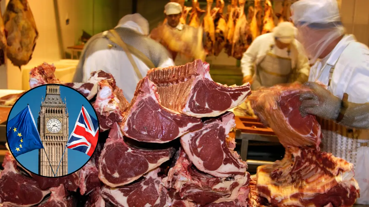 UK Pitched Goods Market Reset with EU 2026