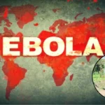 WHO warns Ebola outbreak may be larger than thought 2026