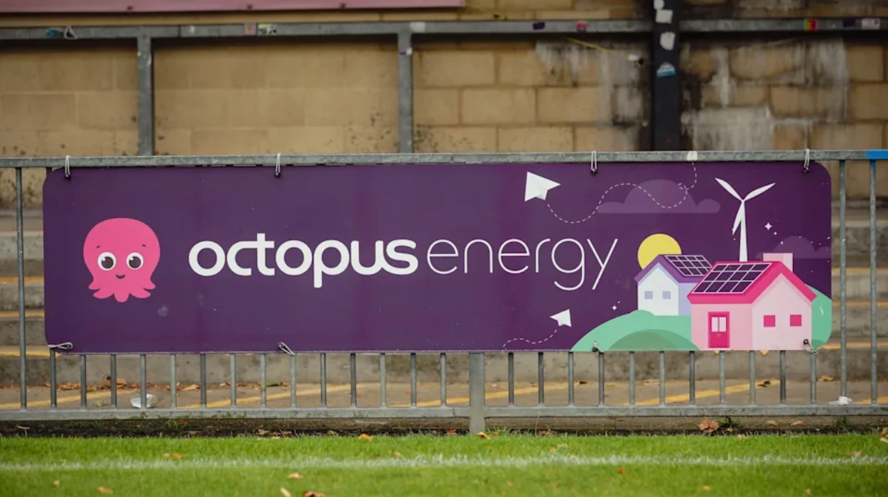 octopus energy social housing tariff social housing savings