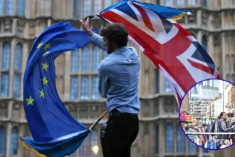 A Decade of Brexit: UK SMEs Still Struggling