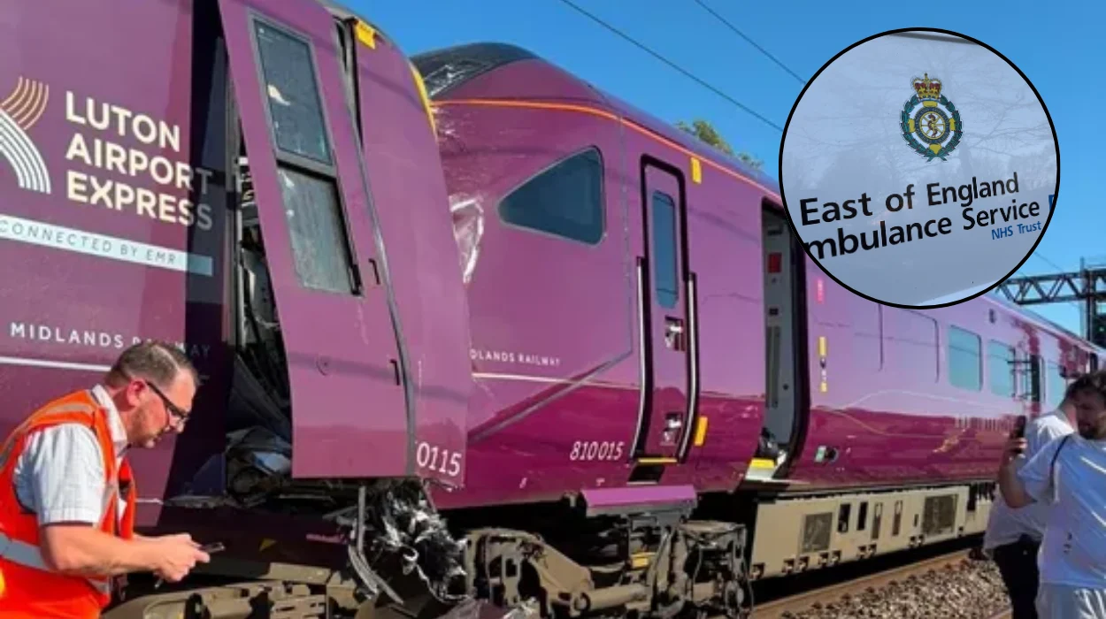 Bedford Train Collision: EMR Crash Shuts London St Pancras
