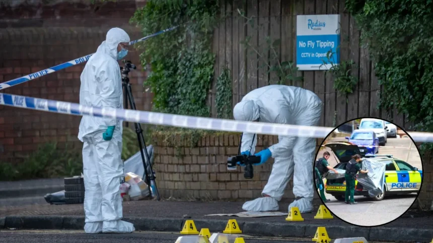 Belfast Knife Attack: Riot Fear After Sudan Man Arrested