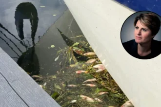 Minister Sorry No Reply Over Dead Fish Whittlesey