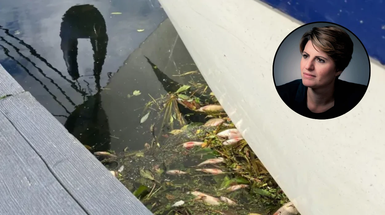 Minister Sorry No Reply Over Dead Fish Whittlesey