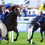 Rahiebb and Scandinavia Set Up Royal Ascot Gold Cup
