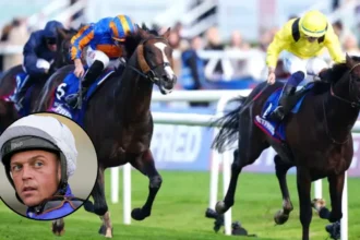 Rahiebb and Scandinavia Set Up Royal Ascot Gold Cup
