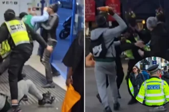 Shoplifting Gang Attacks Lidl Staff North London