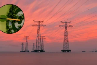 UK Firms Gear Up for Complete Electrification by 2035