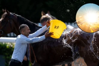 UK racing reshapes fixtures for extreme heatwave