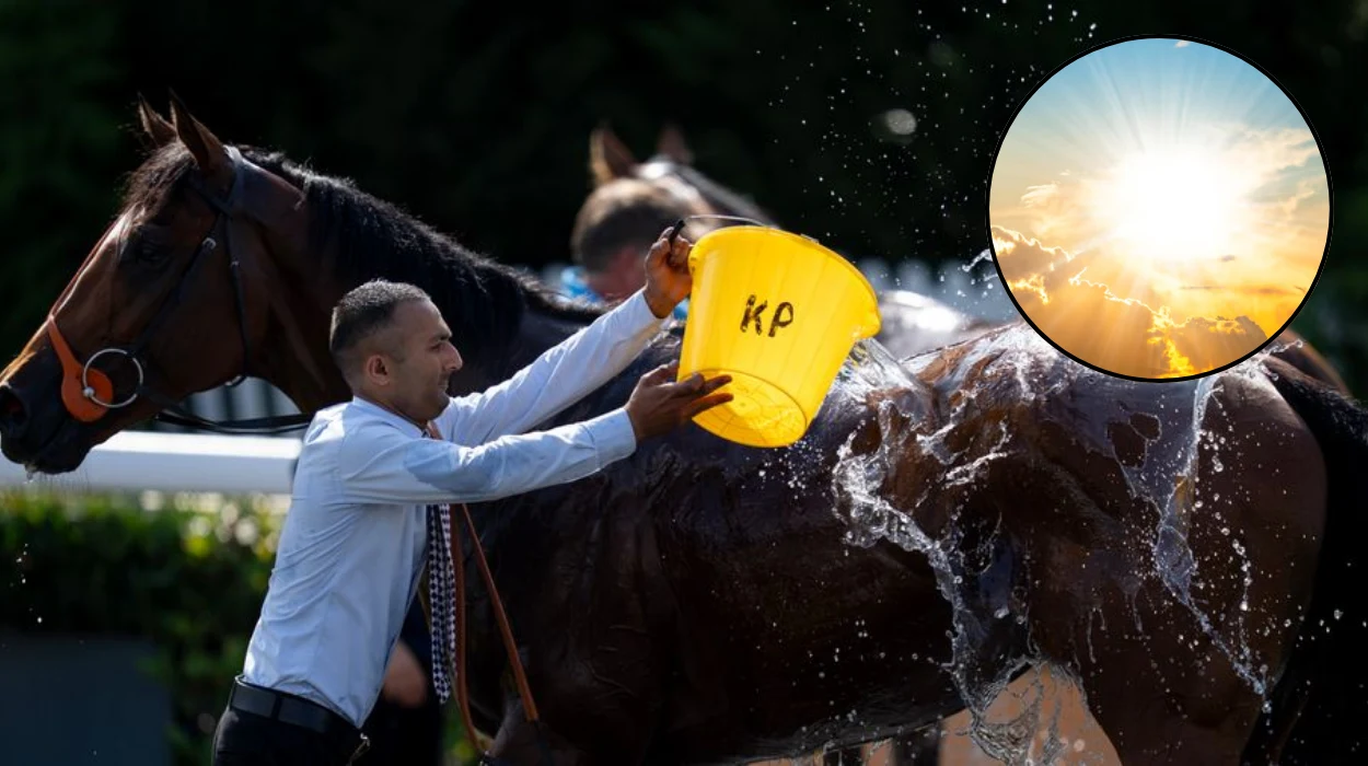 UK racing reshapes fixtures for extreme heatwave