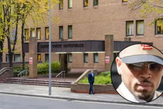 Chris Brown Pleads Guilty to Affray in London