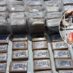 Five Men Admit £34m Cocaine Smuggling Into Eastbourne