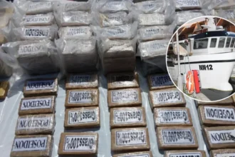 Five Men Admit £34m Cocaine Smuggling Into Eastbourne