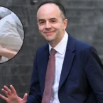 Government Urged to Rethink Local Authority ICB Role