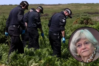 Man Charged With Murder of Ann Widdecombe, 78