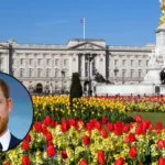 Palace Denies Prince Harry Will Stay There