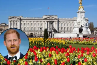 Palace Denies Prince Harry Will Stay There