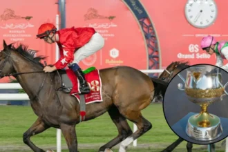 Point Of Law Eyes St Leger After Bahrain Trophy Win