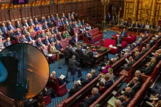 Steel Nationalisation Bill Reaches Lords Report Stage