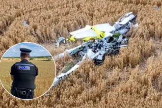 Two Dead in Essex Light Aircraft Crash Near Ongar