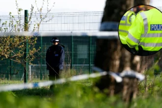 Feltham Murder Probe: Woman’s Remains Found in London Woodland