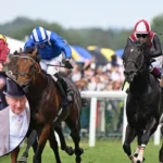 King Charles' Horse Reaching High Beaten At Killarney