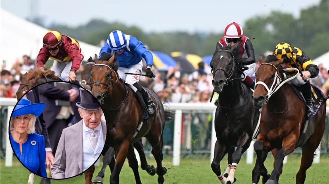 King Charles' Horse Reaching High Beaten At Killarney