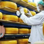 Lactalis to Buy Saputo UK Dairy Business for £988m