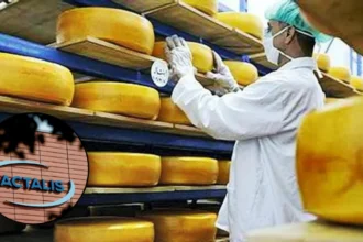 Lactalis to Buy Saputo UK Dairy Business for £988m