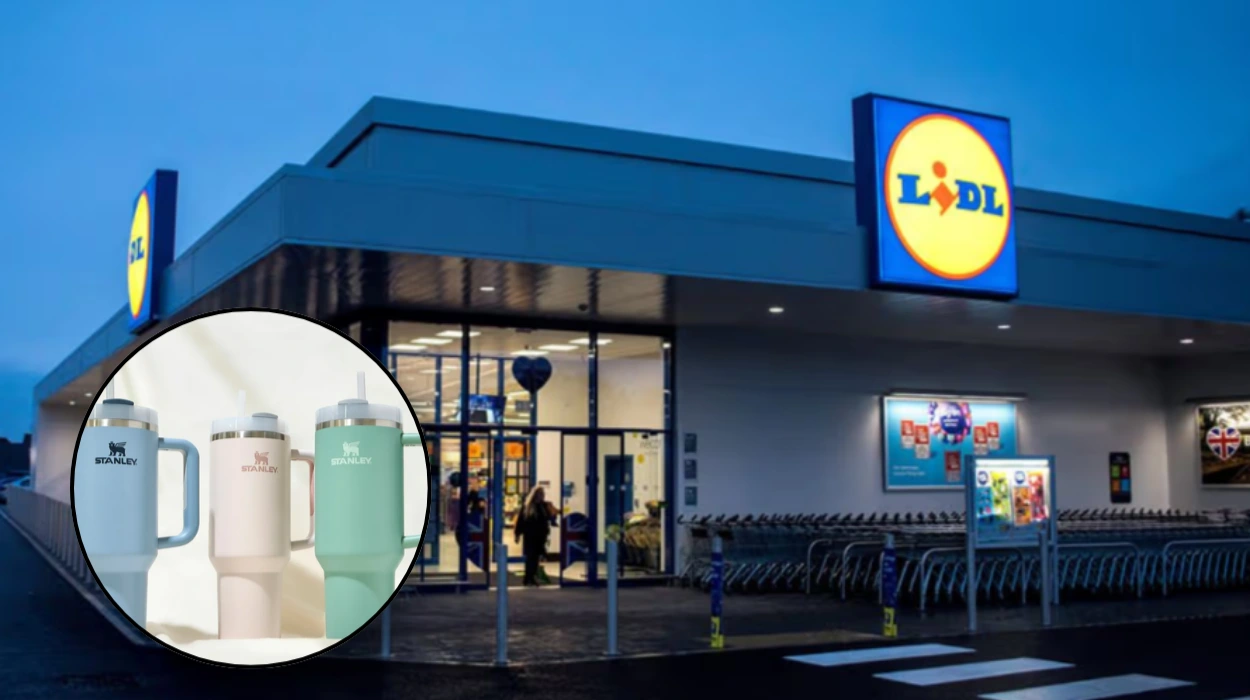 Lidl's £40-Cheaper Stanley Cup Dupe Returns