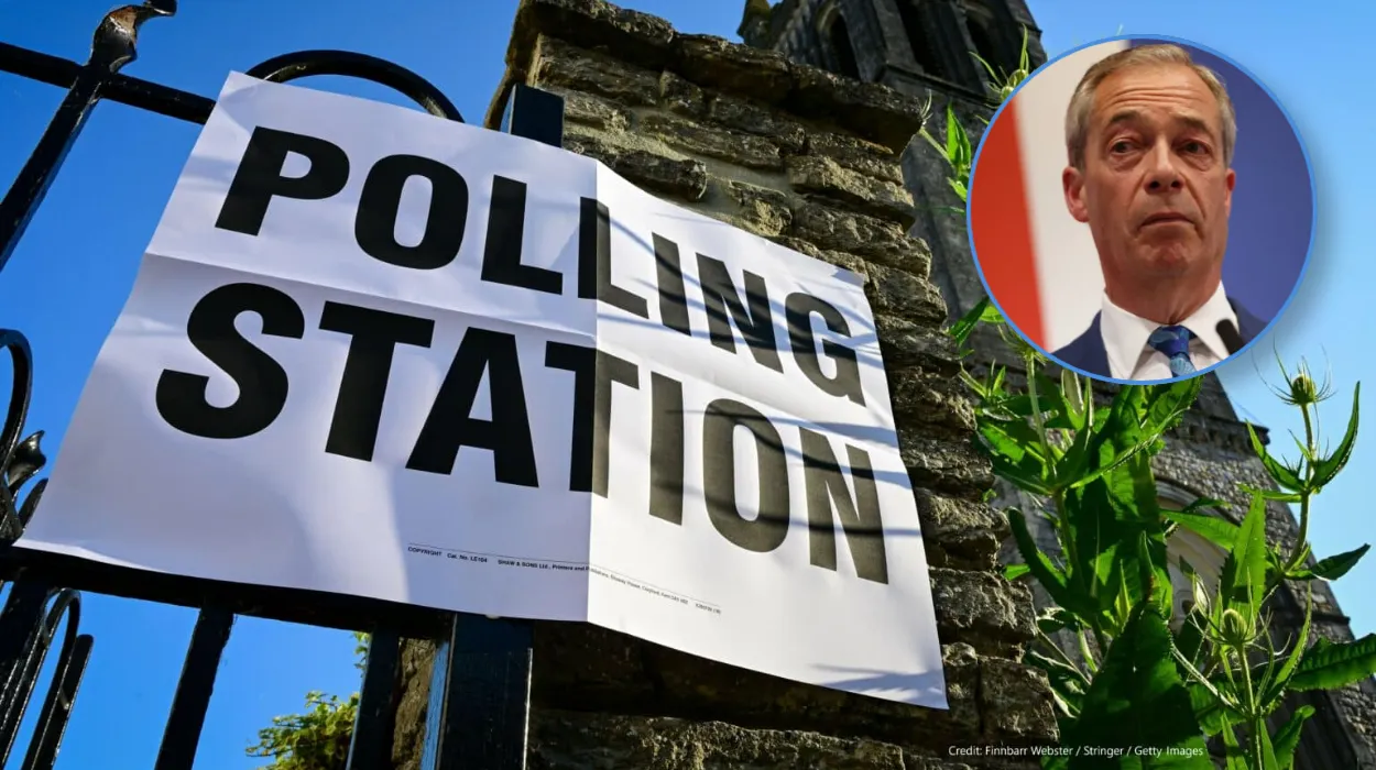 Tactical Voting Report Exposes Huge Risk For Reform