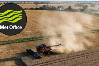 UK Drought Cuts Crop Yields, Threatens Food Security
