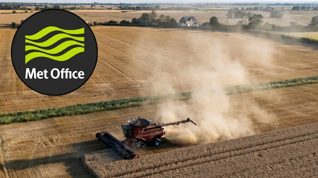 UK Drought Cuts Crop Yields, Threatens Food Security