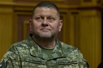 Valerii Zaluzhnyi: Latest News, Role and Ukraine Updates